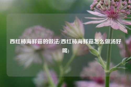 西红柿海鲜菇的做法(西红柿海鲜菇怎么做汤好喝)