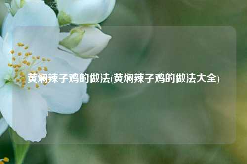 黄焖辣子鸡的做法(黄焖辣子鸡的做法大全)
