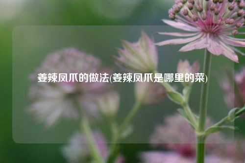 姜辣凤爪的做法(姜辣凤爪是哪里的菜)