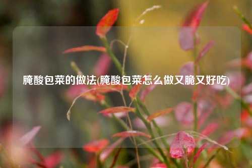 腌酸包菜的做法(腌酸包菜怎么做又脆又好吃)