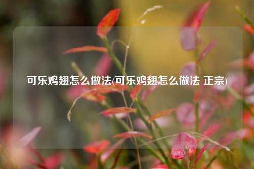 可乐鸡翅怎么做法(可乐鸡翅怎么做法 正宗)