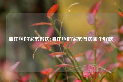 清江鱼的家常做法(清江鱼的家常做法哪个好吃)