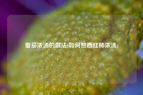 番茄浓汤的做法(如何熬西红柿浓汤)