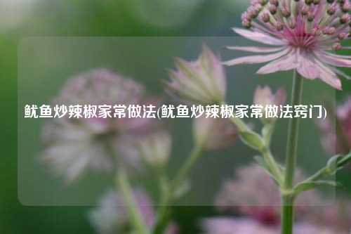 鱿鱼炒辣椒家常做法(鱿鱼炒辣椒家常做法窍门)