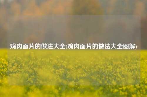 鸡肉面片的做法大全(鸡肉面片的做法大全图解)