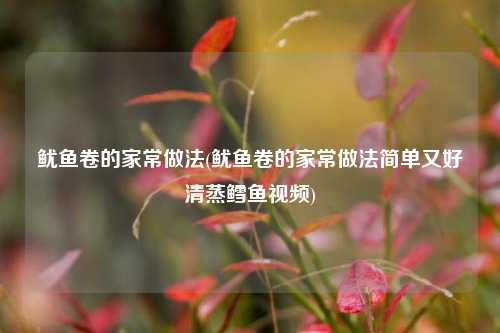 鱿鱼卷的家常做法(鱿鱼卷的家常做法简单又好清蒸鳕鱼视频)