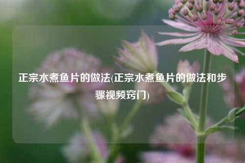 正宗水煮鱼片的做法(正宗水煮鱼片的做法和步骤视频窍门)