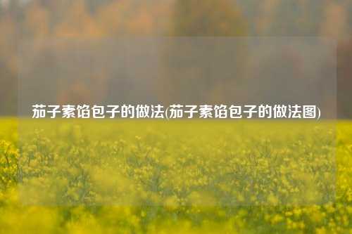 茄子素馅包子的做法(茄子素馅包子的做法图)
