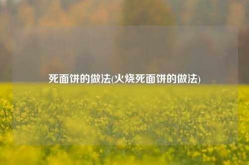 死面饼的做法(火烧死面饼的做法)