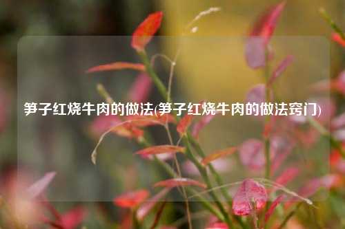 笋子红烧牛肉的做法(笋子红烧牛肉的做法窍门)