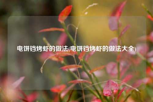 电饼铛烤虾的做法(电饼铛烤虾的做法大全)
